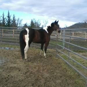 Meet your Posher, Tonja